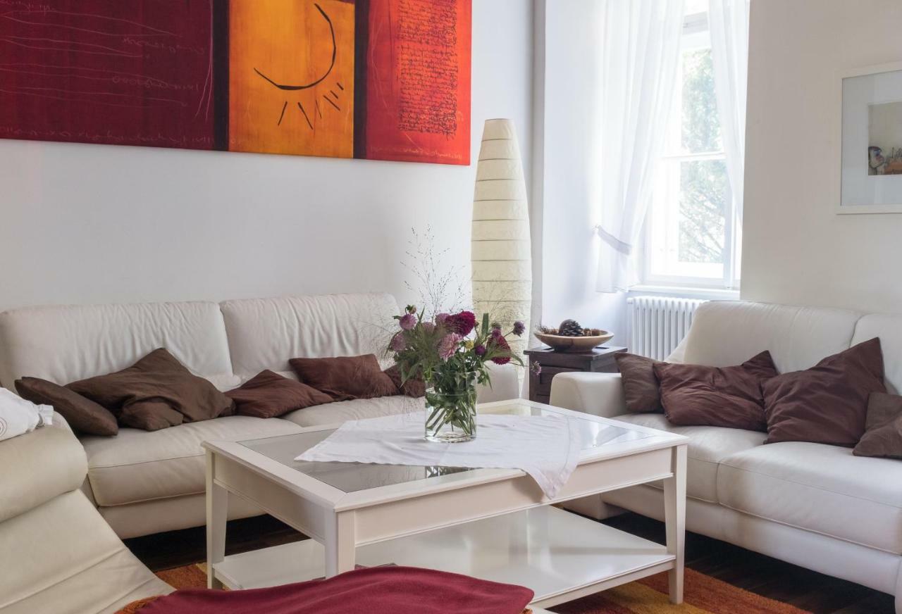 Spacious Old Town Luxury Apartment Linz Extérieur photo